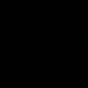 Meet your Posher, Silvia